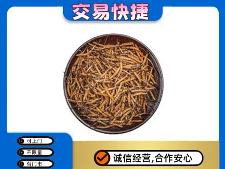 朝阳高价回收散虫草