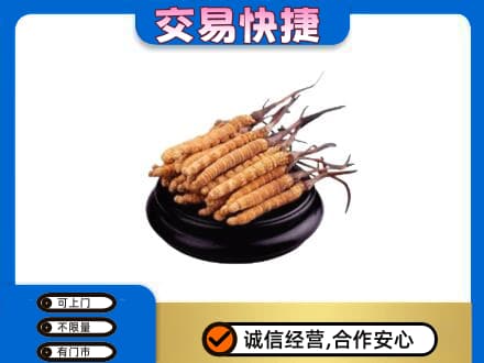 朝阳回收冬虫夏草多少钱每克